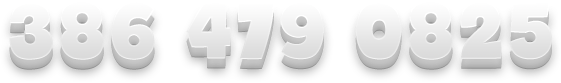 3864790825